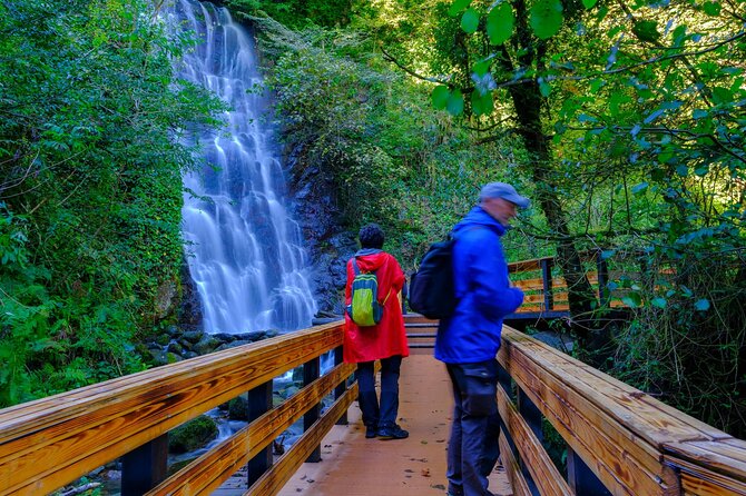 Full Day Tour From Batumi to Waterfalls - Makhuntseti Waterfall: Georgia’s Most Popular Natural Attraction