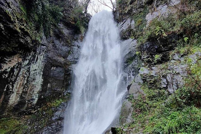 Full Day Tour From Batumi to Waterfalls - Comfortable Transportation and Pickup Convenience