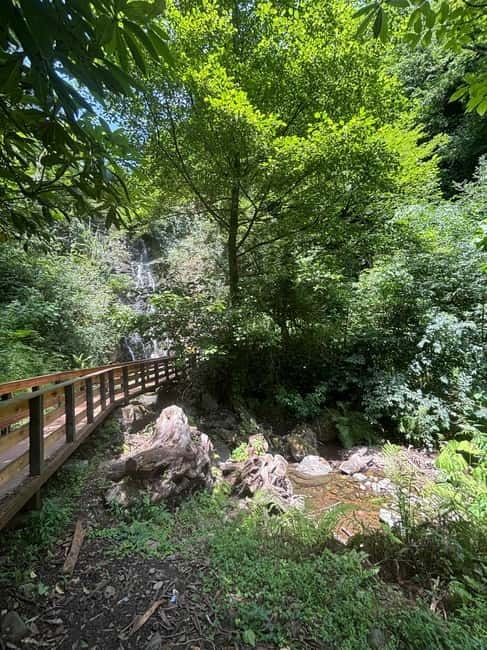 Full Day Tour from Batumi to Waterfalls - Visiting the Andrew the Apostle Sculpture and Waterfall