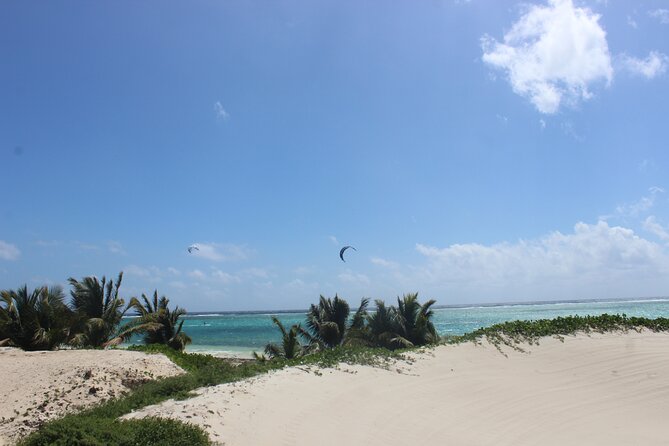 Full day tour in a Beach Club in the Riviera Maya. Transport included - All-Inclusive Amenities for a Hassle-Free Day