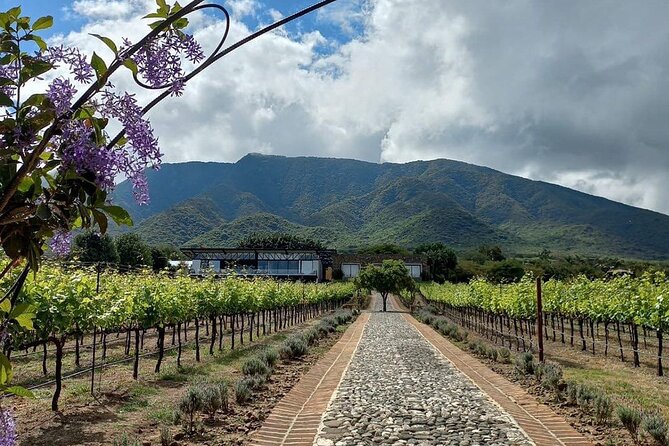 Full Day Tour in Finca Estramancia Vineyard with stop in Chapala - Key Points