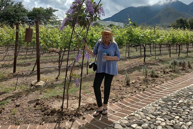 Full Day Tour in Finca Estramancia Vineyard with stop in Chapala - Comfortable, Private Transportation with Expert Guidance