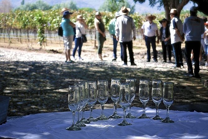 Full Day Tour in Finca Estramancia Vineyard with stop in Chapala - Booking Details and Flexibility