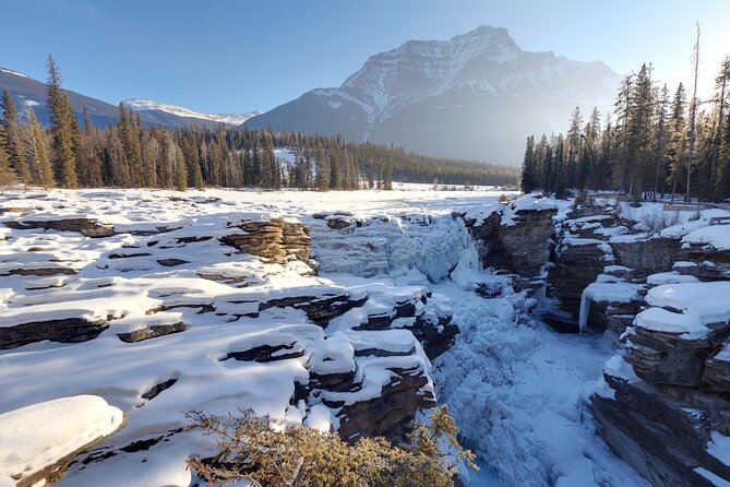 Full Day Tour in Lake Louise and Ice field Parkway - The Value of a Private Guided Day in Banff