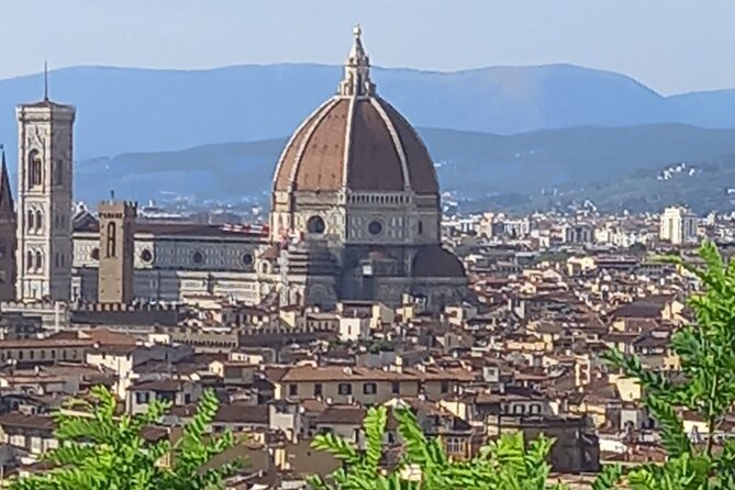 Full Day Tour in Pisa and Florence - Transition to Florence’s Artistic Heart in the Morning