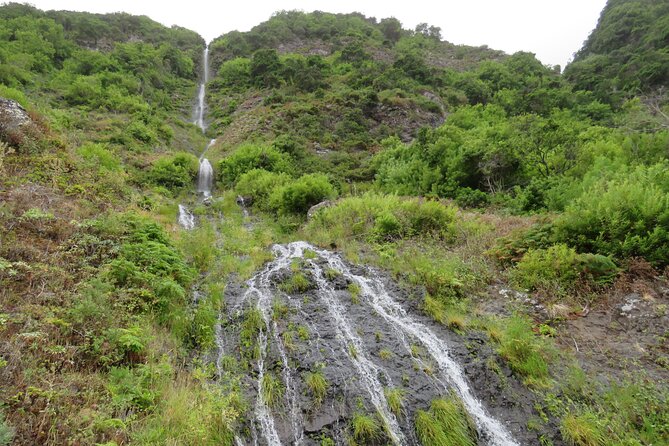 Full Day Tour in Porto Moniz with the Locals - Discovering Madeira’s Remote Forests and Volcanic Pools