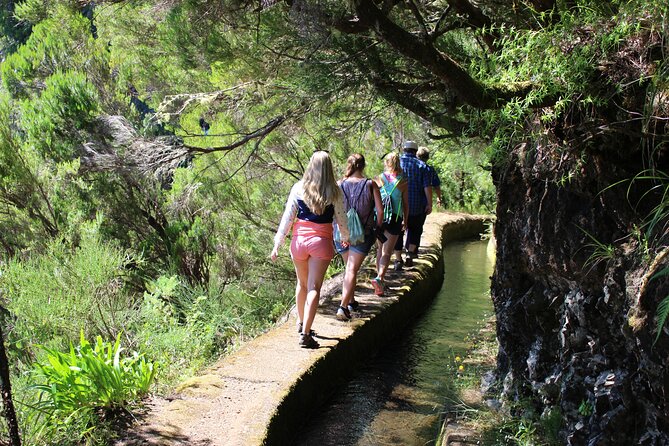 Full Day Tour in Porto Moniz with the Locals - Practical Details and Logistics