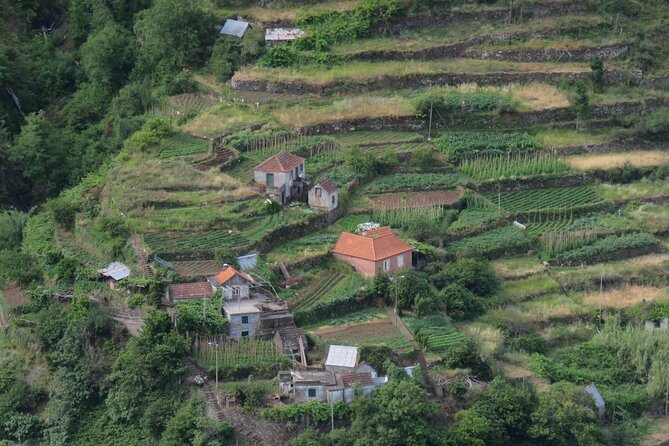 Full Day Tour in Porto Moniz with the Locals - Who Will Enjoy This Tour Most