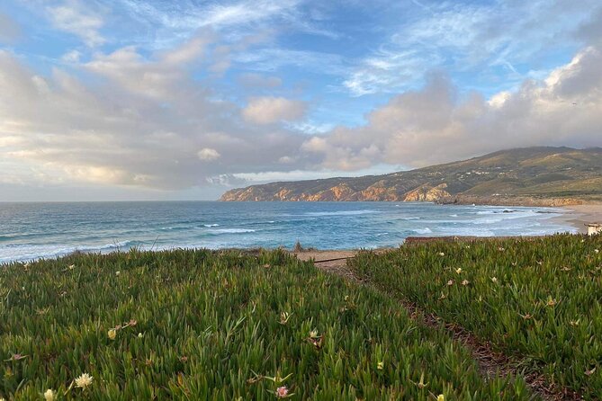 Full Day Tour in Sintra Pena Palace and Quinta de Regaleira - Discovering Quinta da Regaleira’s Mystical Gardens and Initiation Well
