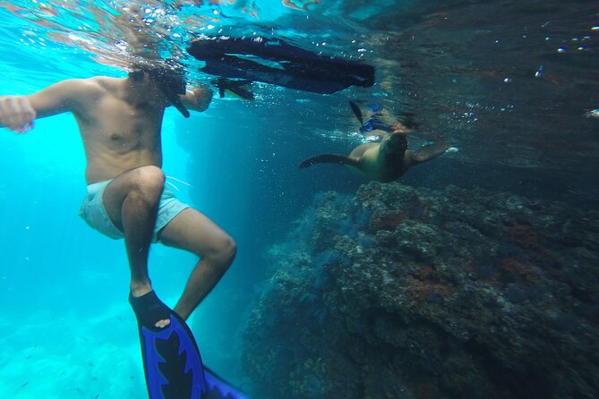 Full-Day Tour Nature Experience at Isla Espiritu Santo! Sea Lions - Exploring Isla Espiritu Santo’s Natural Beauty