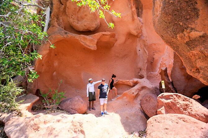 Full-Day Tour Nature Experience at Isla Espiritu Santo! Sea Lions - Snorkeling and Marine Life Encounters at Los Islotes