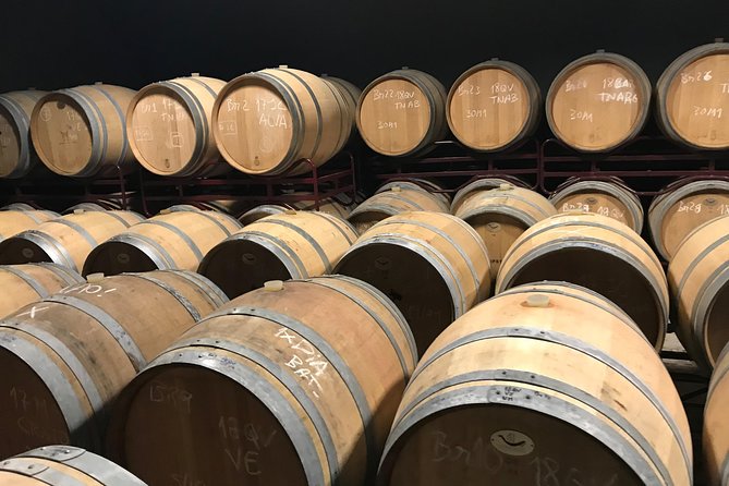 Full-Day Tour of Algarve Wineries from Albufeira - Logistics and Accessibility