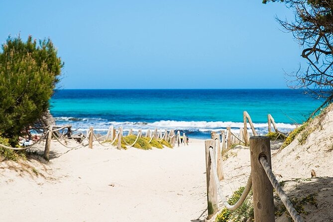 Full-Day Tour of Cala Agulla, and Cala Molto - Limitations and Practical Tips