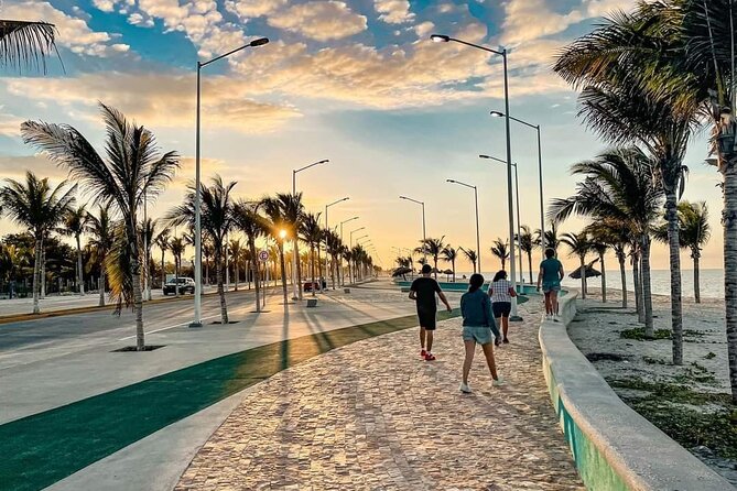 Full Day Tour of Holbox Island and Yalahau Cenote with Lunch - Variability in Reviews and Experience