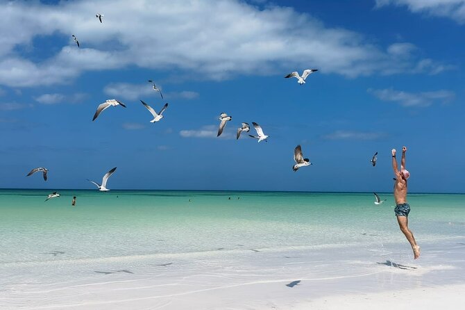 Full Day Tour of Isla Holbox and Isla Pasión with Cenote - Key Points