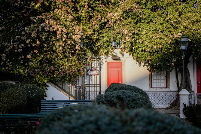 Full Day Tour of Lisbon in Private Eco Tuk Tuk - The Vibrant Hilltop Neighborhood of Graça