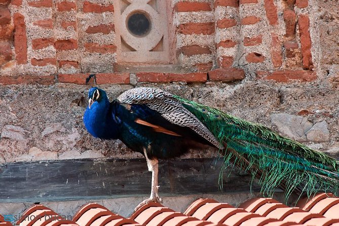 Full day tour of Ohrid with St Naum from Skopje - St. Jovan Kaneo – Ohrid’s Iconic Church