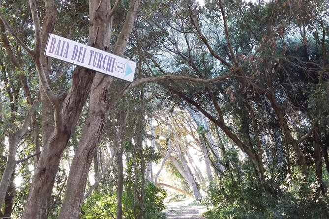 Full Day Tour of Otranto City and its Amazing Seacoast from Lecce - Long Sandy Beach at Torre dellOrso