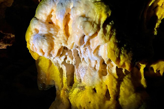 Full-day tour of Postojna Cave and Bled Lake From Ljubljana - Highlights of the Guided Experience