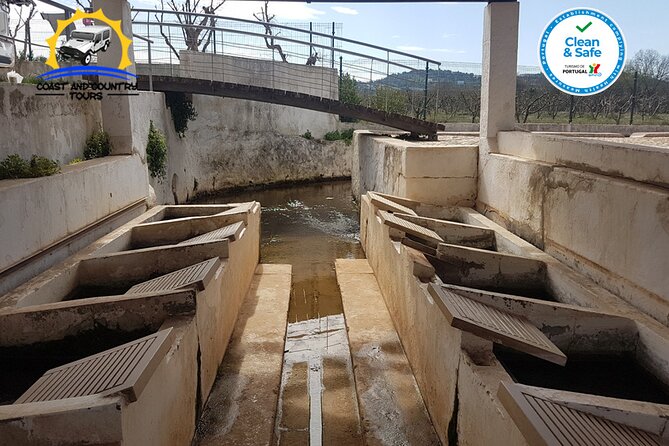 Full day tour of the Algarve with Jeep safari - Refreshing Break at Fonte Grande Water Sources