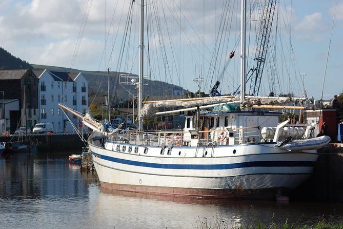 Full day tour of the Isle of Man with a qualified Isle of Man Tour Guide - Birdwatching and Tea at the Calf of Man