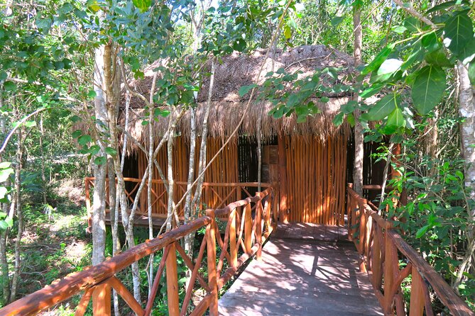 Full-Day Tour of Tulum Ruins and Cenotes with Lunch - The Tour Guide Experience and Local Insights