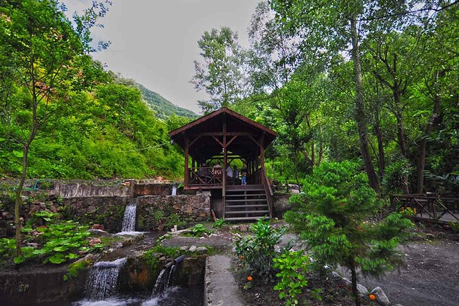 Full Day Tour Sapanca and Masukiye from Istanbul - Key Points