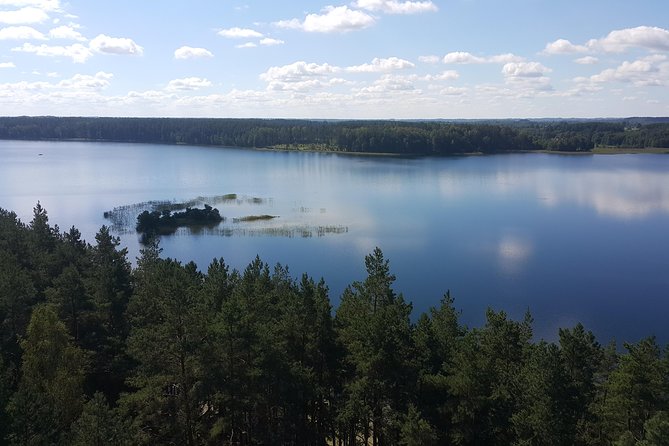 Full-Day Tour to Aukstaitija National Park from Vilnius - Exploring the Museum of Ancient Beekeeping and Local Cuisine