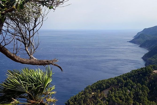 Full Day Tour to Caves of Drach and Hams with Porto Cristo and Pearl Factory - Tour Guide and Multilingual Support