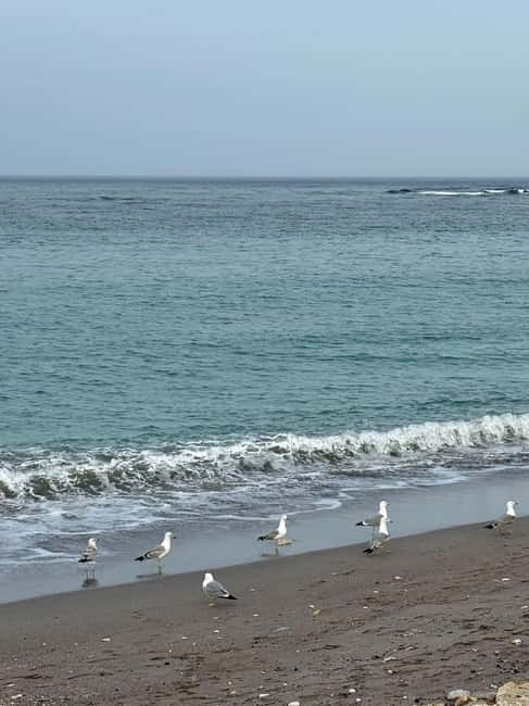 Full-Day Tour to Constana from Bucharest (12 Hours) - Exploring Romania’s Black Sea Coast on a 12-Hour Guided Day Trip