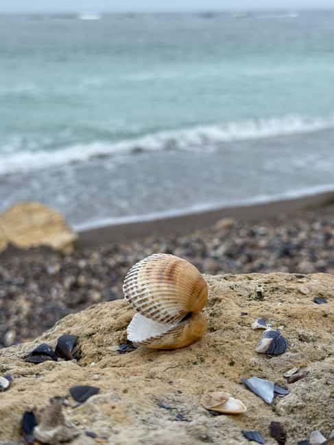 Full-Day Tour to Constana from Bucharest (12 Hours) - Seaside Promenade and Marina: Feel the Sea Breeze