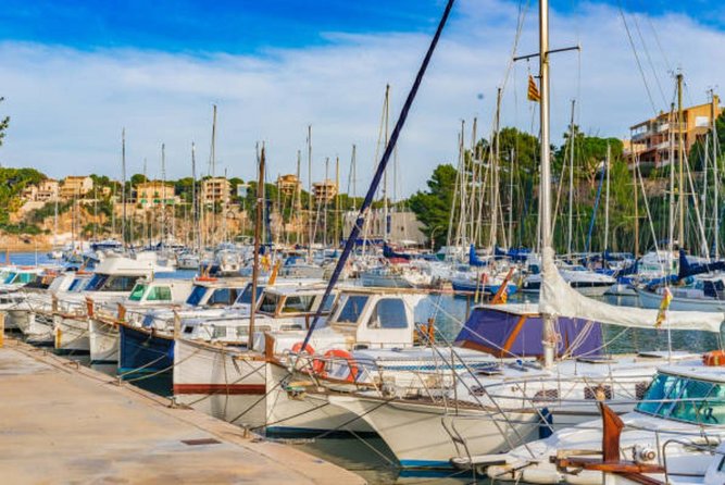 Full-day Tour to Drach Caves and Portocristo Town - Logistics and Group Size