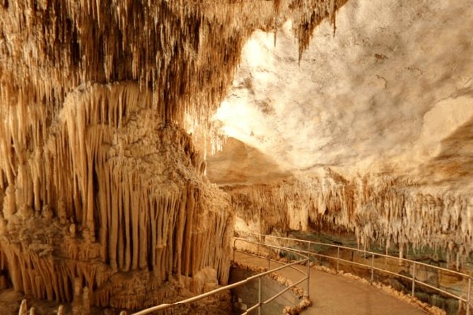 Full-day Tour to Drach Caves and Portocristo Town - What the Tour Does Not Include