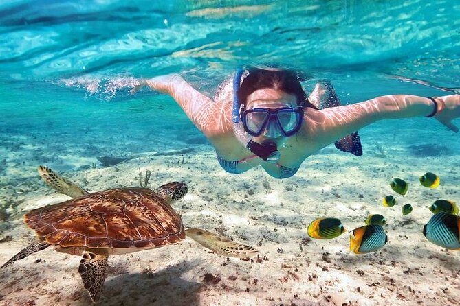 Full day tour to El Cielo in Cozumel Snorkeling and Lunch - Free Time to Explore Cozumel