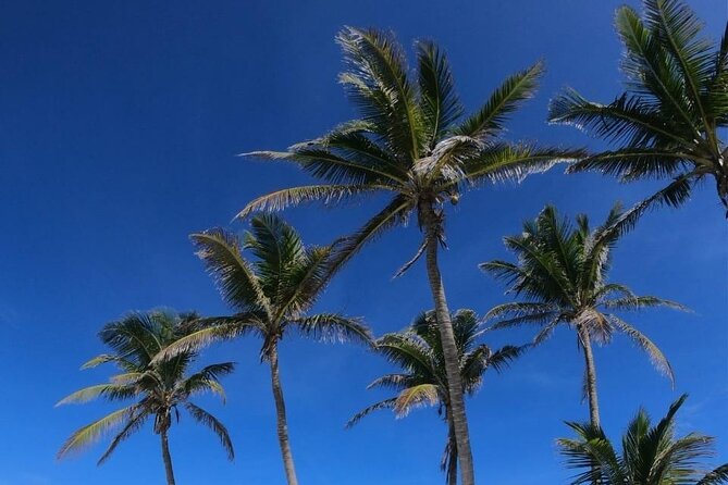 Full Day Tour to Isla Contoy and Isla Mujeres from Cancun - Convenient Pickup and Meeting Arrangements in Cancun