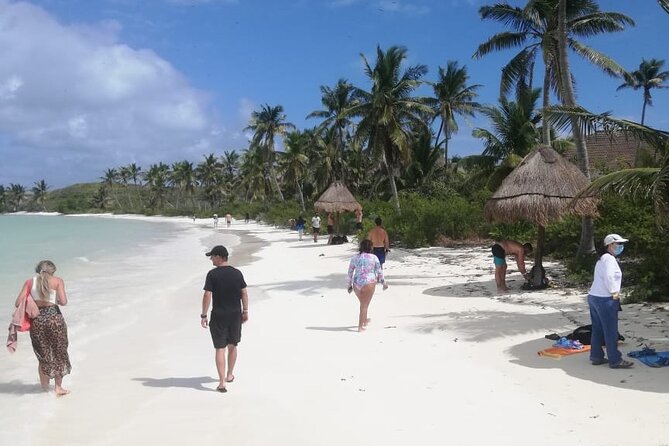 Full Day Tour to Isla Contoy and Isla Mujeres from Cancun - Discovering Isla Mujeres: Playa Norte or the Town