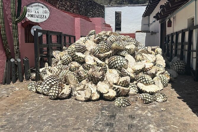 Full-Day Tour to La Fortaleza Distillery and Cantaritos - Discover the Authentic Tequila Experience with La Fortaleza and Cantaritos