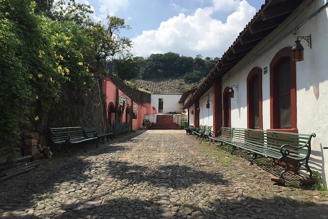 Full-Day Tour to La Fortaleza Distillery and Cantaritos - Key Points