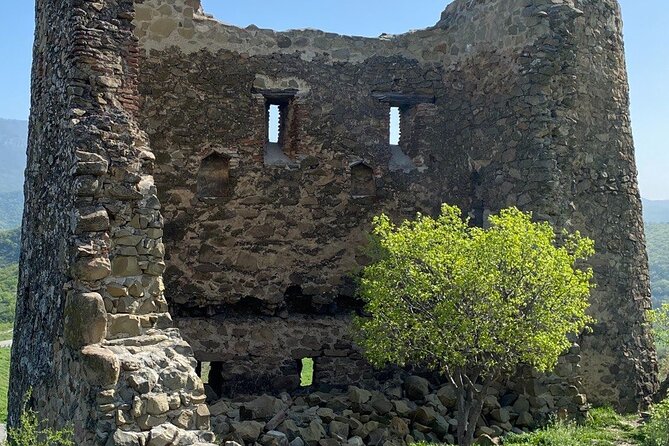Full Day Tour to Mtskheta, Gori, and Uplistsikhe - Cost and Additional Expenses