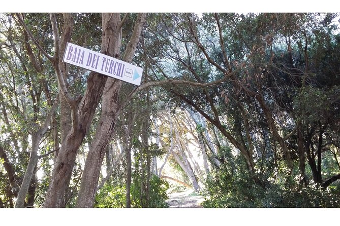 Full Day Tour to Otranto coast most beautiful Beaches from Lecce - Experiencing the Stunning Clarity of Torre Sant’Andrea