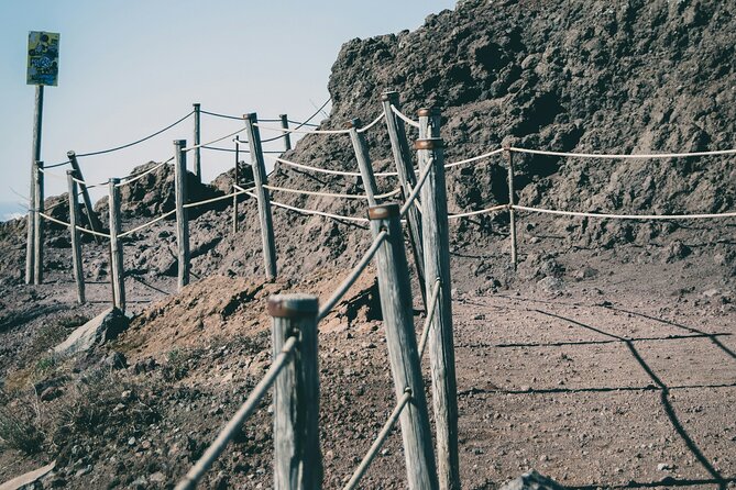 Full Day Tour to Pompeii, Vesuvius and Wine Tasting - Customer Satisfaction and Reviews