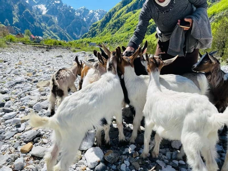 Full day tour to Shkoder - Theth - Practical Logistics and What’s Included