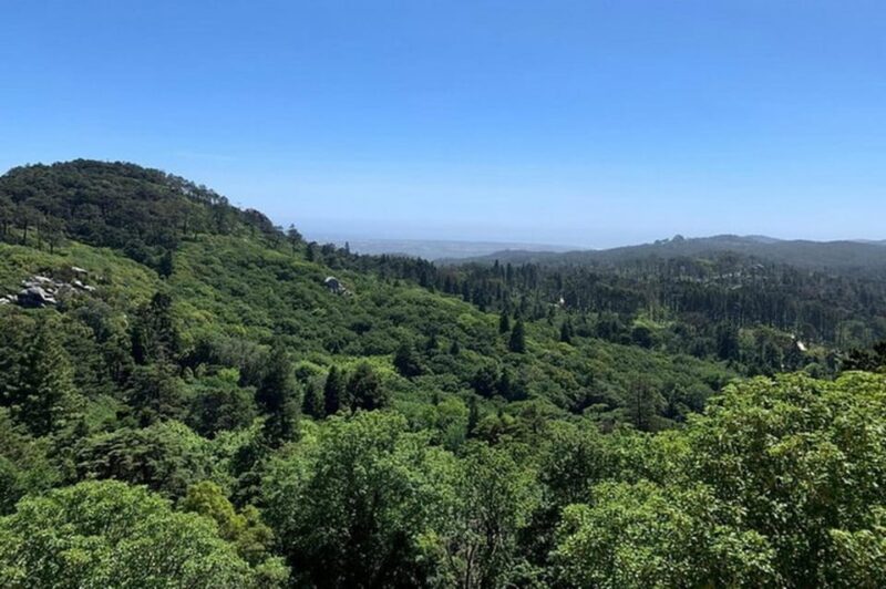 Full Day Tour to Sintra with Pena Palace and Quinta da Regaleira - Discover the Mystical Atmosphere of Quinta da Regaleira