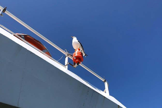 Full day tour to Texel - Friesian Islands - from Amsterdam - Scenic Boat Rides and the Ferry Journey