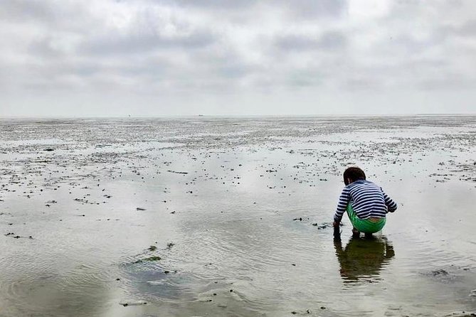 Full day tour to Texel - Friesian Islands - from Amsterdam - Texel’s Villages and Nature Reserves