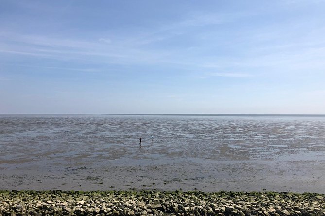 Full day tour to Texel - Friesian Islands - from Amsterdam - Weather and Physical Considerations