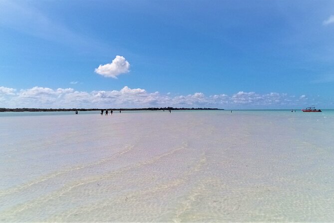 Full Day Tour to the Best of Holbox - Key Points