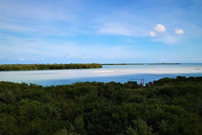 Full Day Tour to the Best of Holbox - Refresh in the Yalahau Lagoon and Ojo de Agua