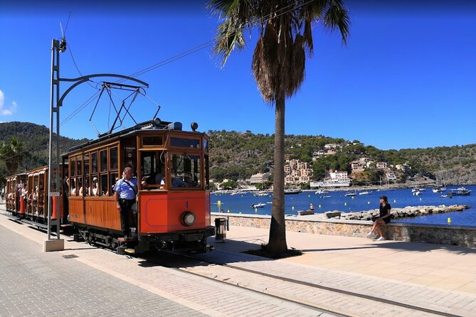 Full Day Tour to the Island of Mallorca - Practical Details and Logistics
