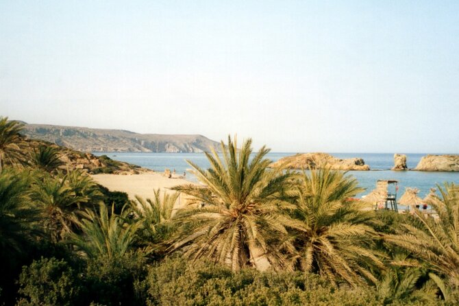 Full-Day Tour to Vai Palm Beach, Toplou Monastery, and Sitia Town - Exploring Sitia Town and Local Flavors